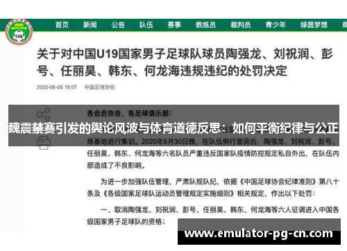 魏震禁赛引发的舆论风波与体育道德反思：如何平衡纪律与公正