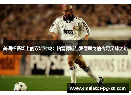 美洲杯赛场上的双雄对决：帕雷德斯与罗德里戈的传奇足球之路