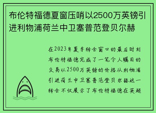 布伦特福德夏窗压哨以2500万英镑引进利物浦荷兰中卫塞普范登贝尔赫 布伦特福德夏窗压哨以2500万英镑引进利物浦荷兰中卫塞普范登贝尔赫